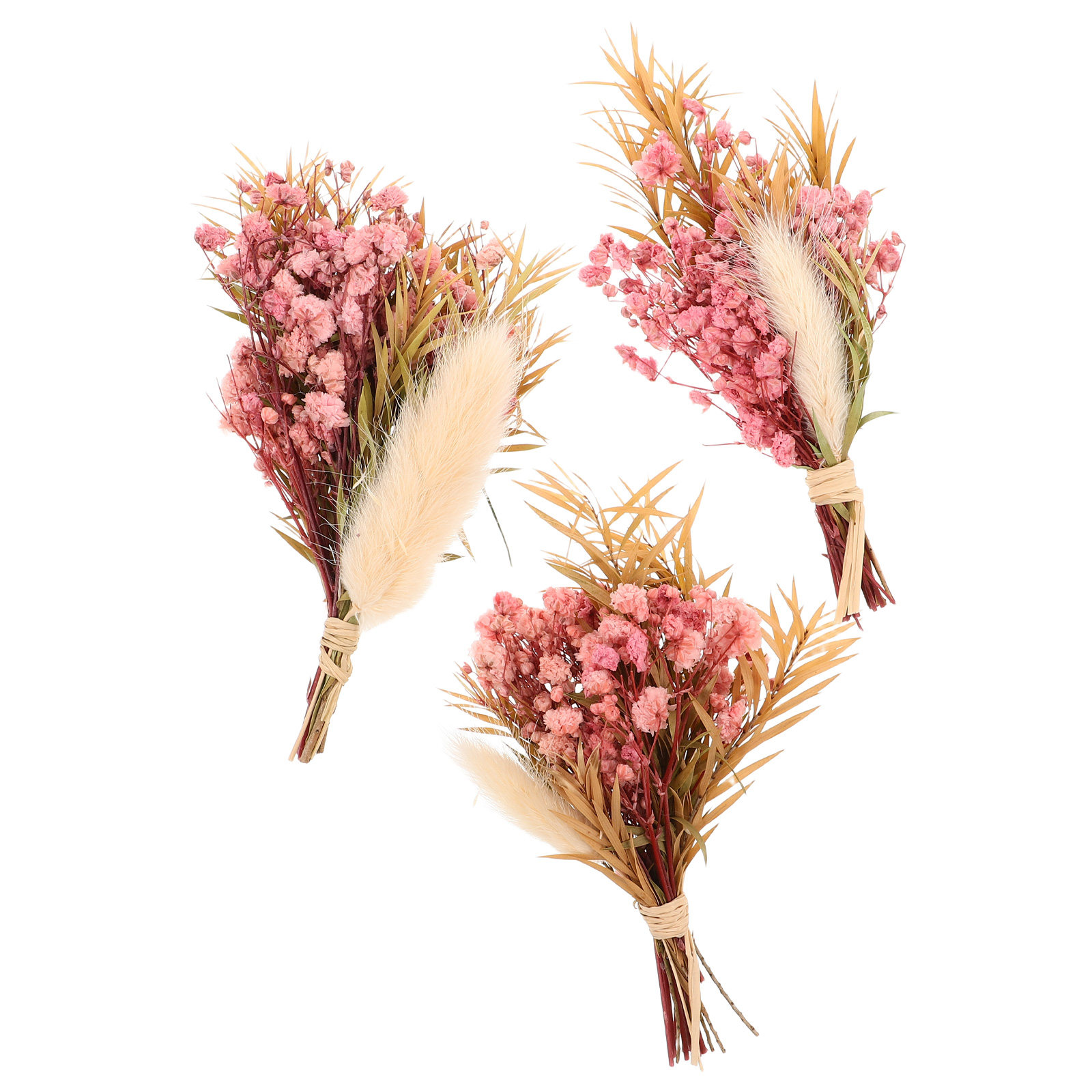 3-teiliges Mini-Trockenblumen- – Dried Flower Bulk Bewertung und Preis