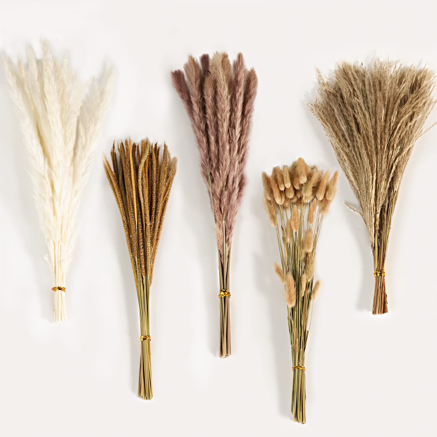 Herbstlicher Vintage-Mischblum – Dried Flower Bulk Bewertung und Preis