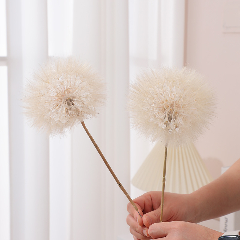 Konservierte Löwenzahnblüten D – Resin Crafts Bewertung und Preis